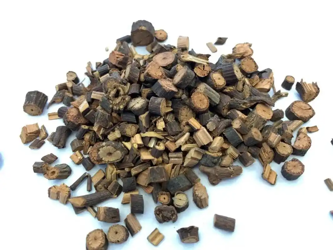 中药桂枝选自原植物的什么