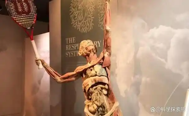 医学院学生提供了宝贵的学习机会,使他们能够亲手探索和理解人体的