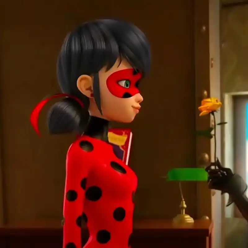 #miaos #瓢虫雷迪 #黑猫诺儿 零零散散的图片#图文 - 抖音