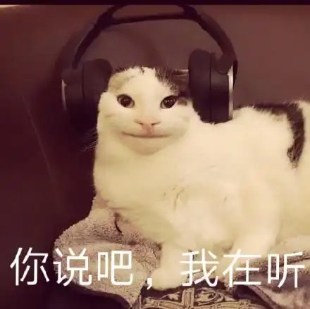 你说吧,我在听(猫咪戴耳机)_猫咪_耳机表情