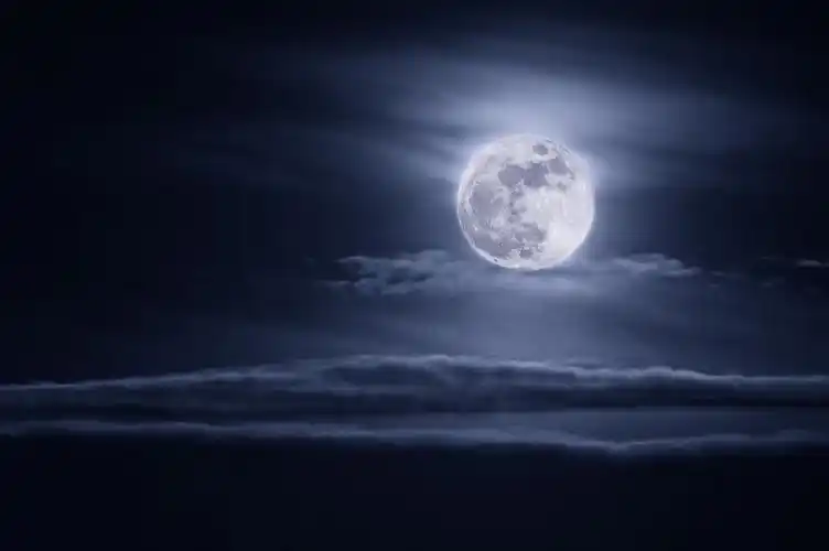 com_mongol home page