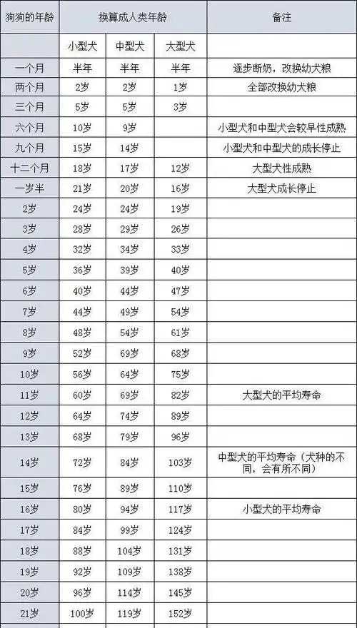狗狗长多大才能看出是否成年 狗狗最新年龄换算表来了(1)