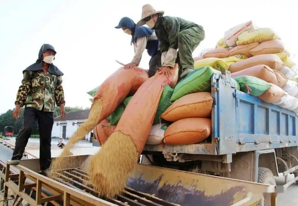 交公粮的时候,总是感觉粮所的工作人很舒坦,和汗流浃背的农民形成鲜明