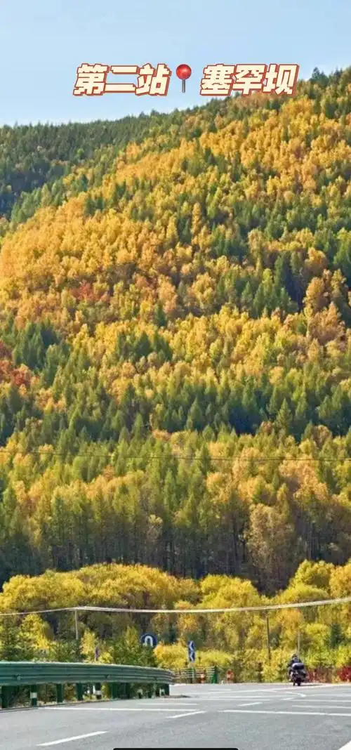 塞罕坝四日游:秋日草原美景