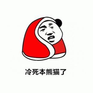 冷死本熊猫了
