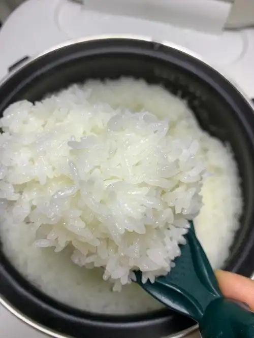 这米饭真的是绝绝子不接受反驳