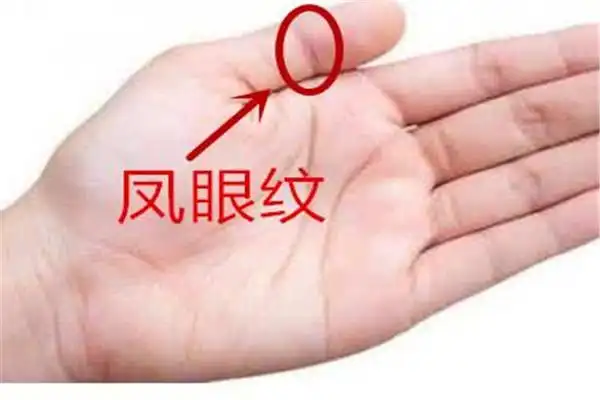 凤眼纹和夫子眼的区别有哪些长有凤眼纹的女性性子温柔