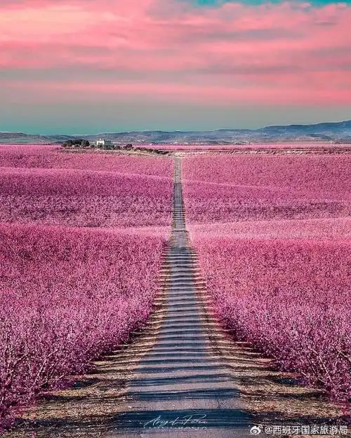 西班牙旅行##出发吧拥抱世界##西班牙等你来##西班牙