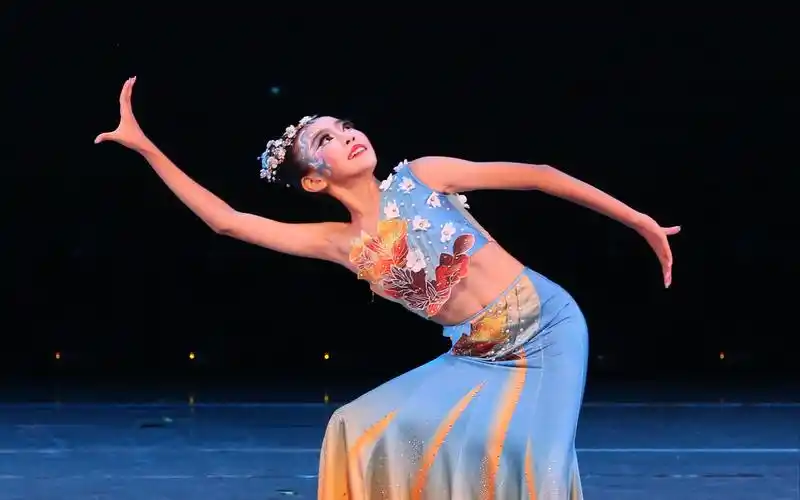 舞蹈世界独舞比赛傣族舞《灵雀》