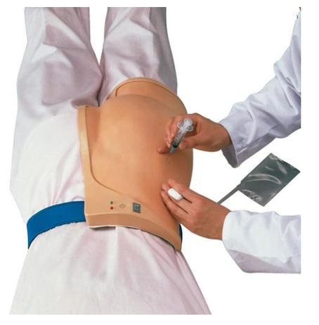 湖北德国3bscientific03臀部肌肉注射模拟