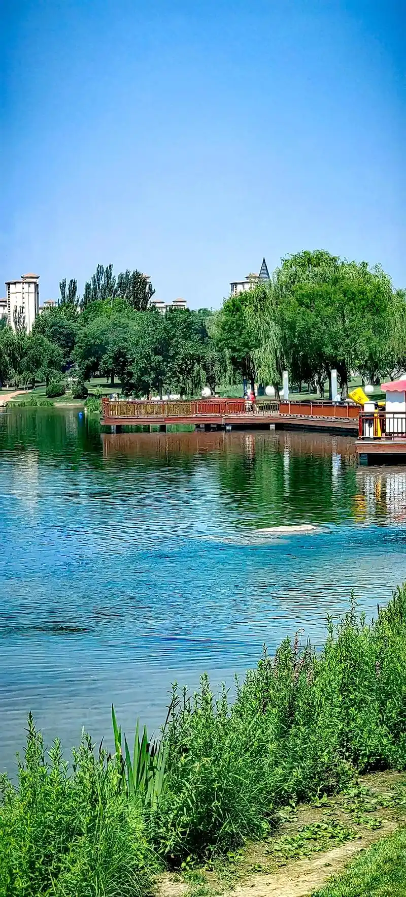 河北廊坊固安大湖公园