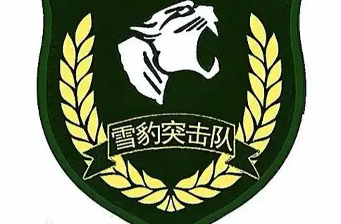 雪豹突击队