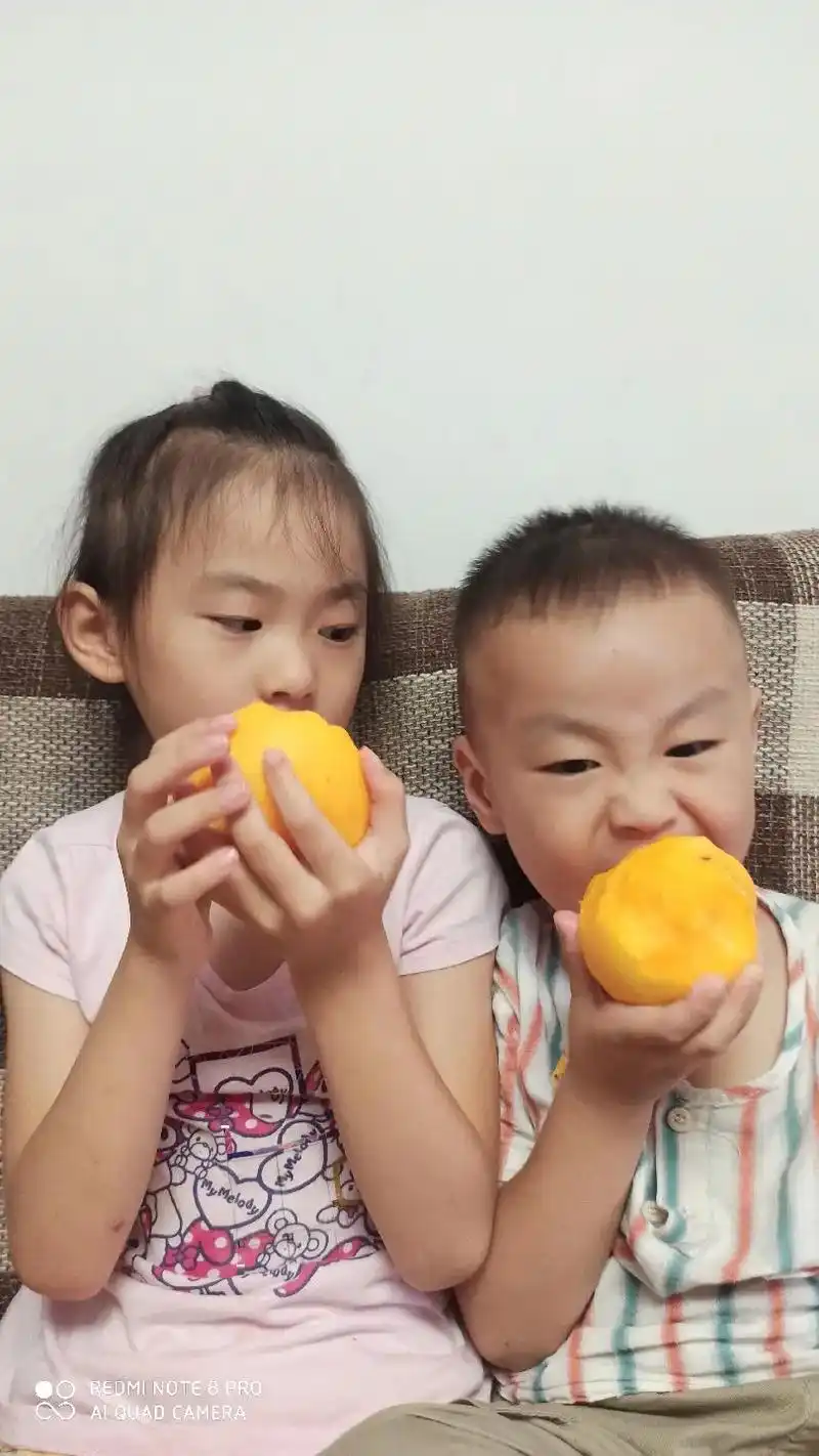 家乡的桃子熟了,色鲜味美,大人小孩都喜欢吃.有意者请联系 电 - 抖音