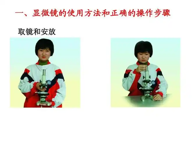 一,显微镜的使用方法和正确的操作步骤 取镜和安放