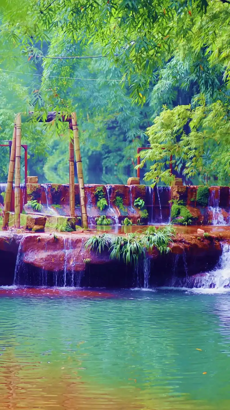 蜀南竹海(四川4a级景区)蜀南竹海被誉为竹的海洋,素以雄,险 - 抖音