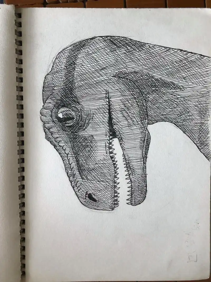 又来一个恐龙#热门 #儿童画 #排线#迅猛龙 - 抖音