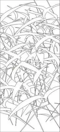 冬天的枯草小草简笔画