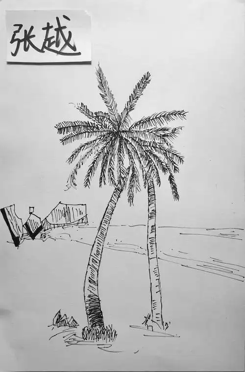 《椰子树》—— 孩子画的风景速写.