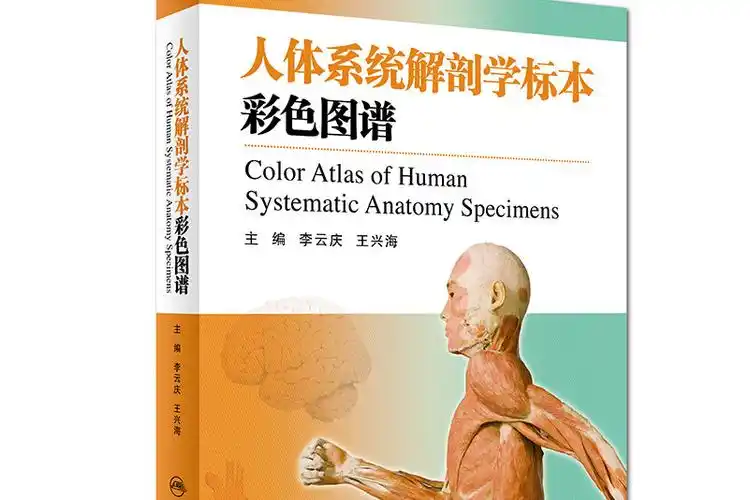 人体系统解剖学标本彩色图谱