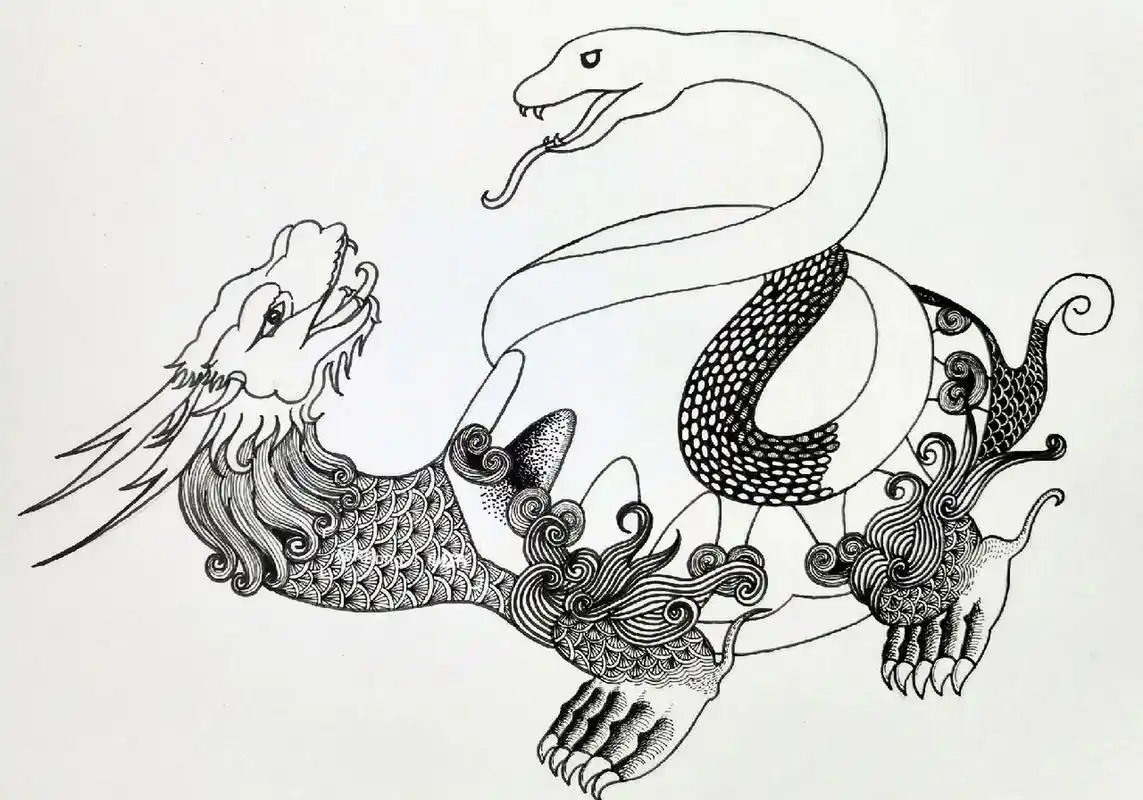 山海经  玄武 素材参考 @&旧梦颜か梅  感谢 材料: 白卡纸  针管笔