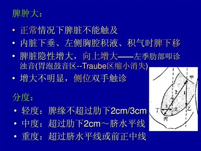 脾肿大:   正常情况下脾脏不能触 及   内脏下垂,左侧胸腔积液,积气时