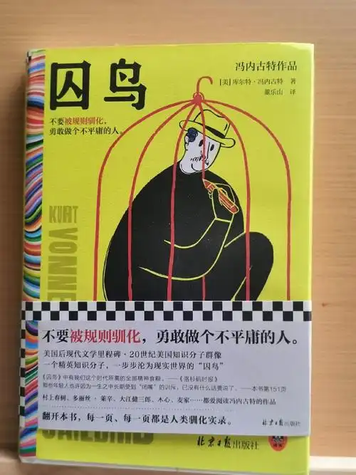 囚鸟接受规则是容身于这个世界的唯一途径