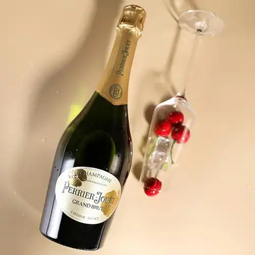 巴黎之花香槟酒法国原瓶进口perrierjouet干型香槟起泡酒750ml单支装