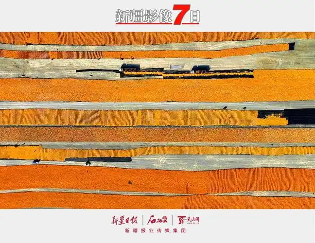 新疆影像7日93丨秋色染韵岁月生香