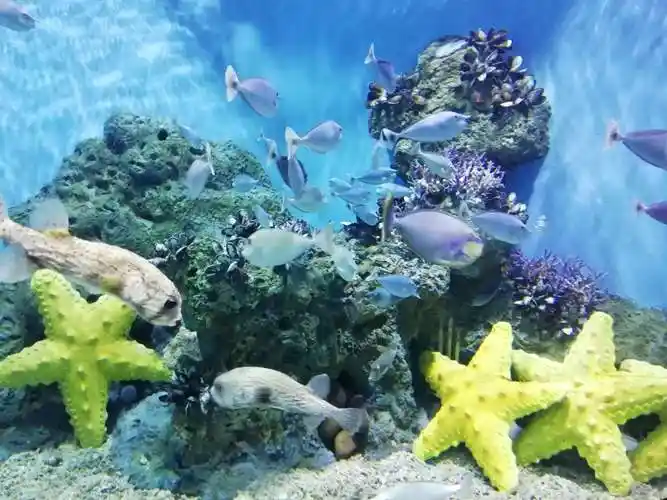 重庆汉海海洋公园