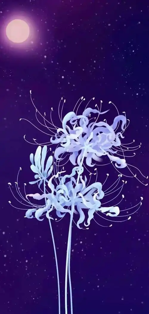 借花献佛分享全屏彼岸花壁纸