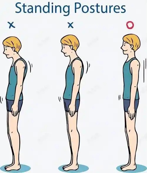 家长从正面观察孩子的背部,看看孩子的肩胛骨是否脱离胸壁向外突出