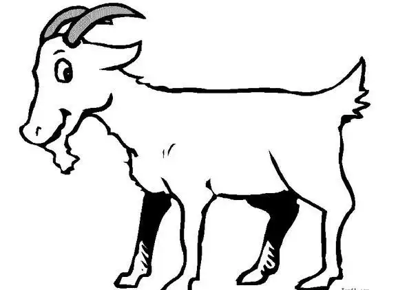 羊怎么画