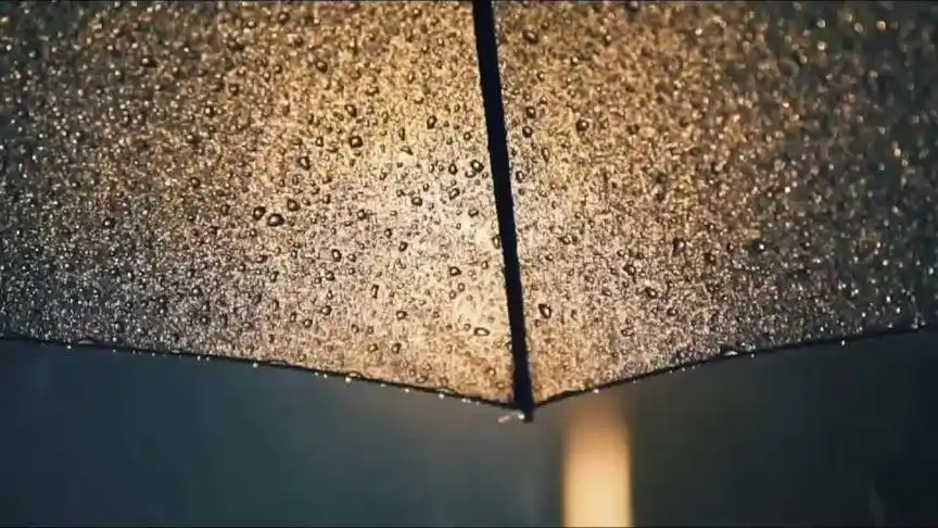 我慢慢听雨落下的声音 #愿你天黑有灯下雨有伞