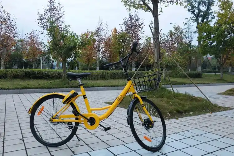 三门峡涌池正规封闭式学校