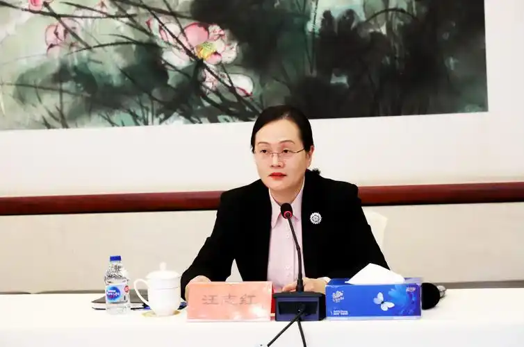 泉州市人民政府副市长汪志红介绍第三届中德科技论坛情况.