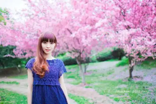 甘肃第一美女居然在陇南,快看看她是谁!