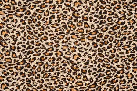 布纹豹纹的质感照片