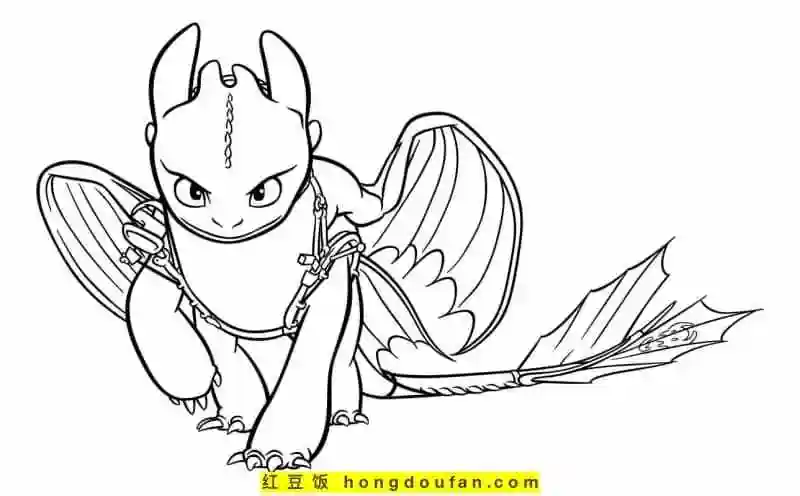 《驯龙高手》卡通涂色图片-红豆饭小学生简笔画大全