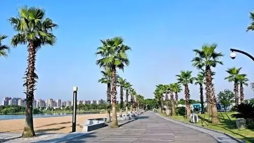 打卡金沙滩湖畔享清凉