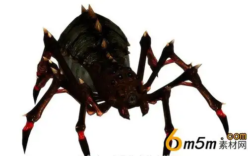黑色八脚蜘蛛怪物拥有剧毒的3d生物模型