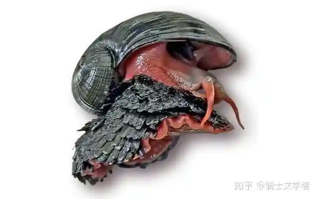 身为碳基生命的异虫是怎么咬穿人族装甲的?
