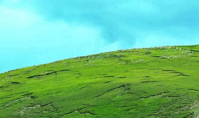 无垠是什么意思 无垠是什么