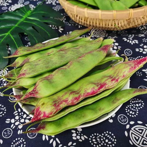 东北一点红九月豆角现摘新鲜蔬菜开锅农产农产品新鲜豆类