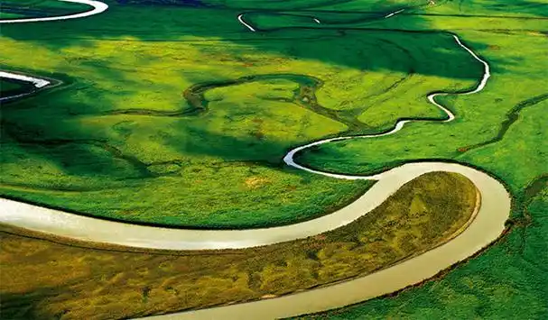 世界面积最大的平原排行榜东欧平原第2第3亚洲第一大平原