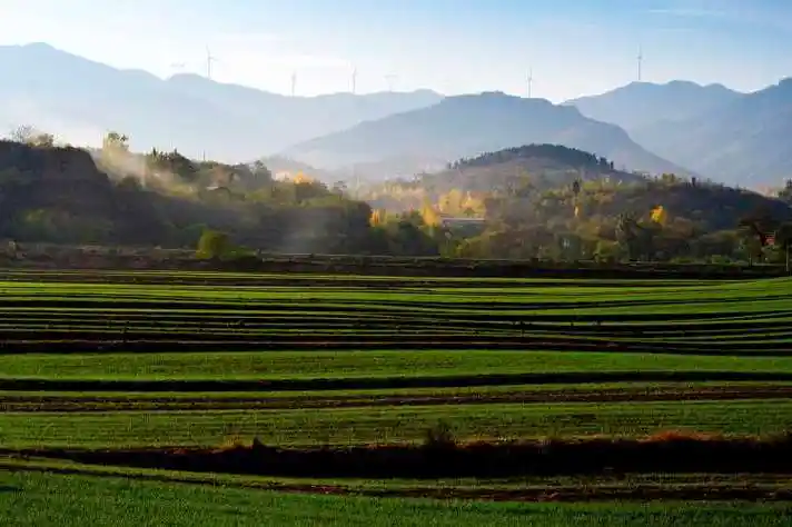 河南省双龙山省级森林公园免费开放
