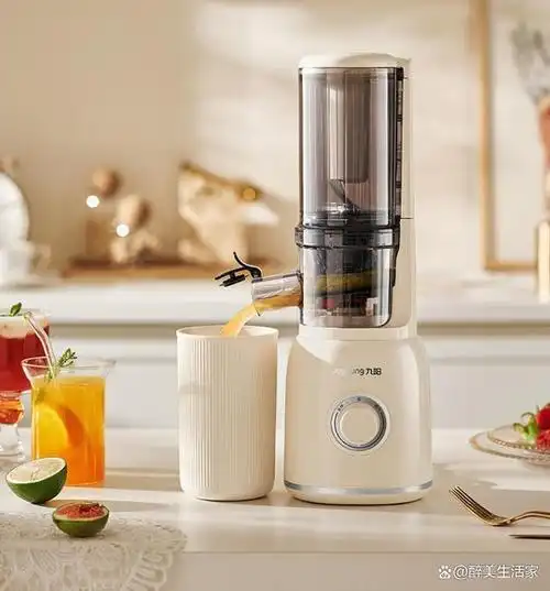 九阳作为知名家电品牌,各式榨汁机功能多样,设计巧妙,满足不同家庭