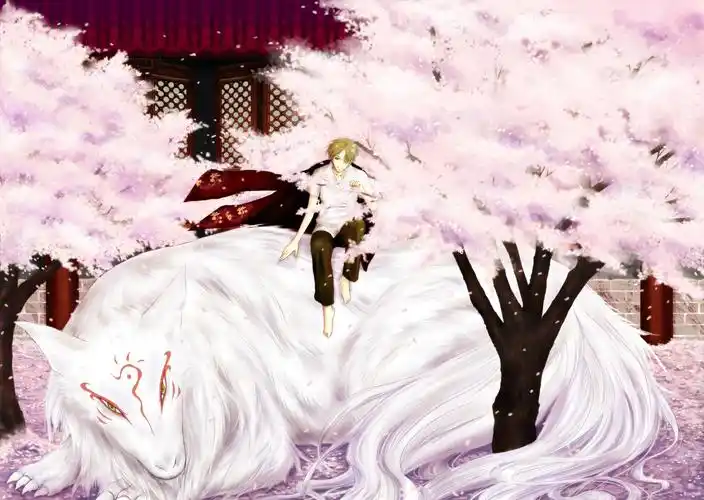 夏目友人帐 斑夏~ by elleece - 堆糖,美图壁纸兴趣社区