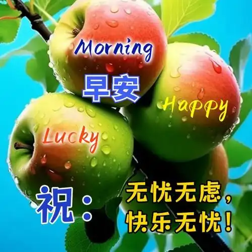 11月18日早上好!温暖的冬日祝福问候语,早安图片