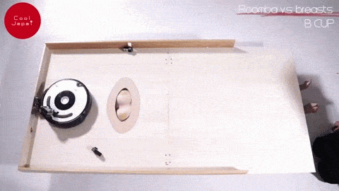 a罩杯:    b罩杯:     d罩杯:     f罩杯:      p罩杯:  机器一!