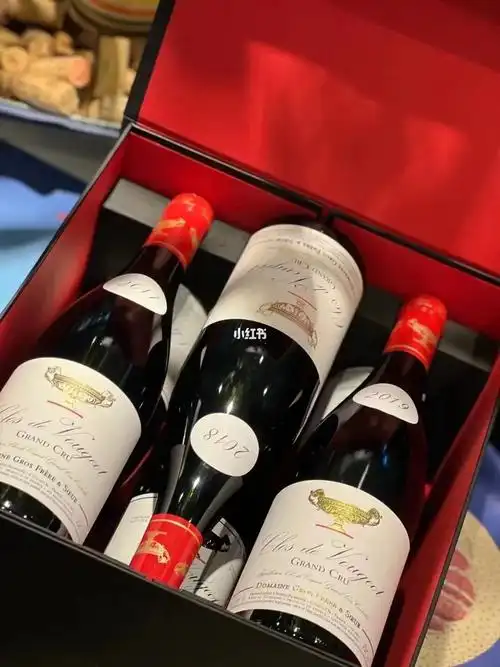 大金杯垂直套装